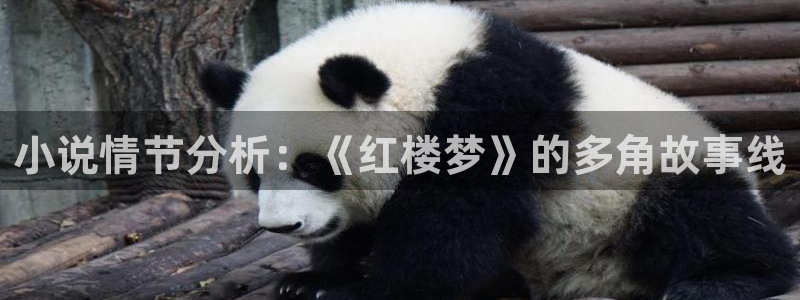 耽美小说小说：小说情节分析：《红楼梦》的多角故事线