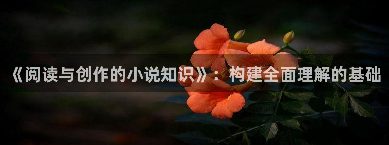 古代耽美小说推荐：《阅读与创作的小说知识》：构建全面理解的基础