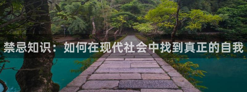 耽美小说：禁忌知识：如何在现代社会中找到真正的自我