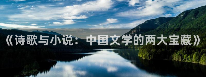 耽美小说软件：《诗歌与小说：中国文学的两大宝藏》